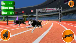 狗疯狂比赛模拟器 2023